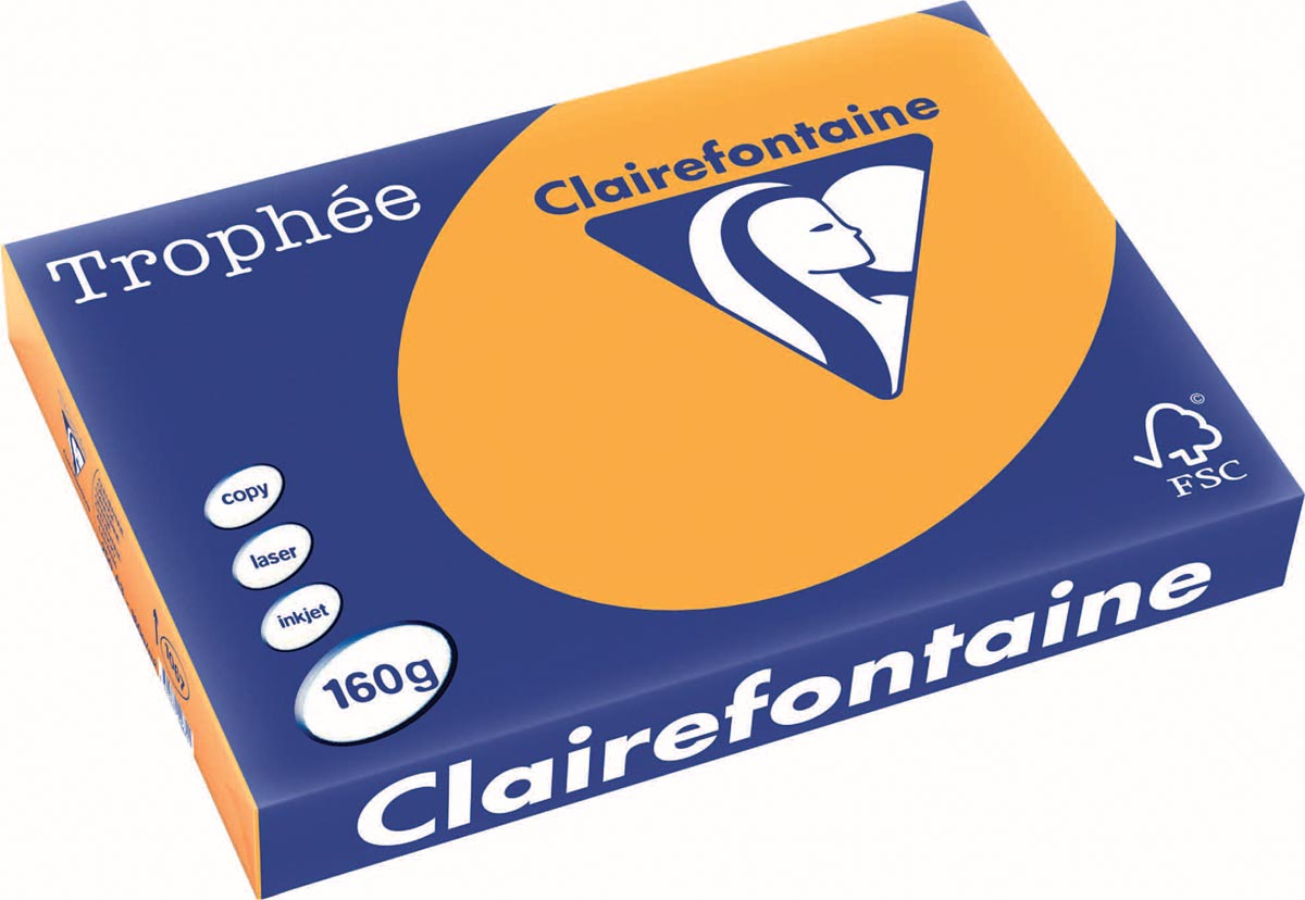 Clairefontaine Trophée Pastel A3, 160 g, 250 vel, oranje