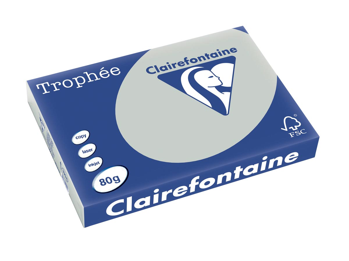 Clairefontaine Trophée Pastel A3, 80 g, 500 vel, lichtgrijs