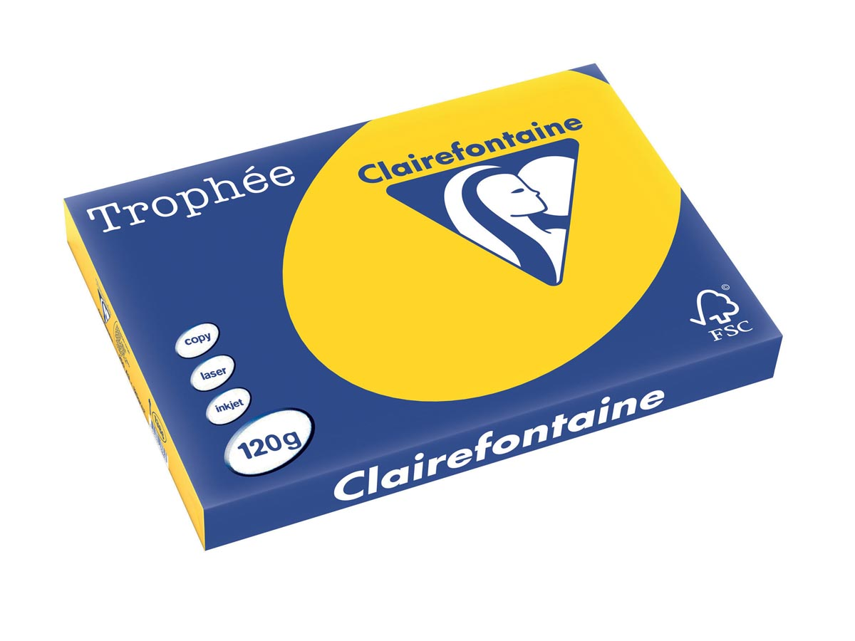 Clairefontaine Trophée Pastel A3, 120 g, 250 vel, goudgeel