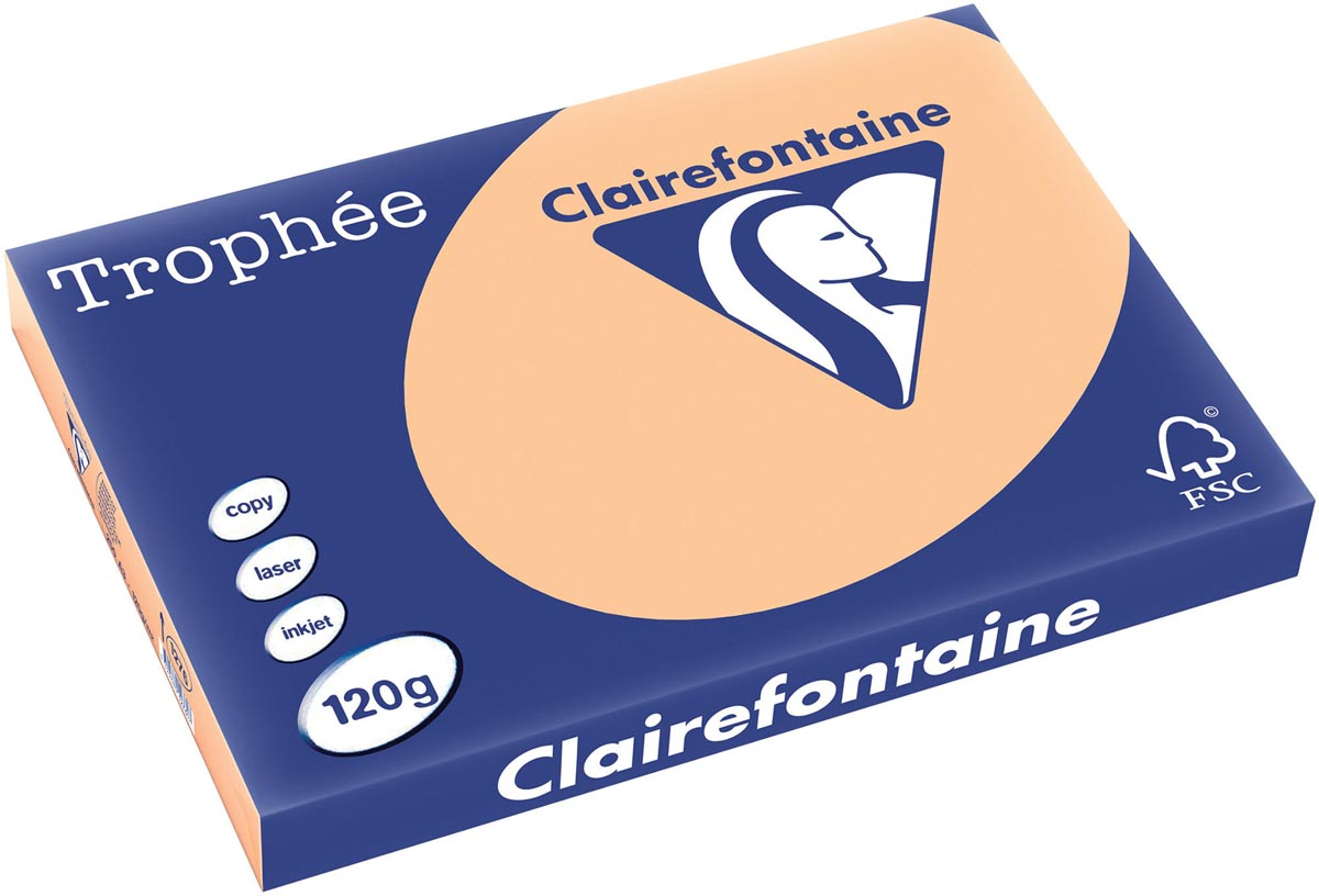 Clairefontaine Trophée Pastel A3, 120 g, 250 vel, abrikoos