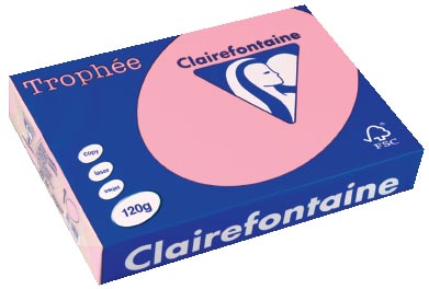 Clairefontaine Trophée Pastel A4, 120 g, 250 vel, roze