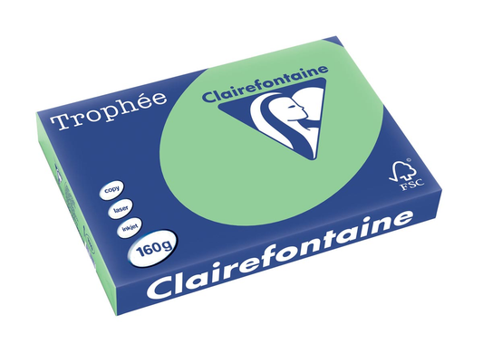 Clairefontaine Trophée Pastel A3, 160 g, 250 vel, natuurgroen