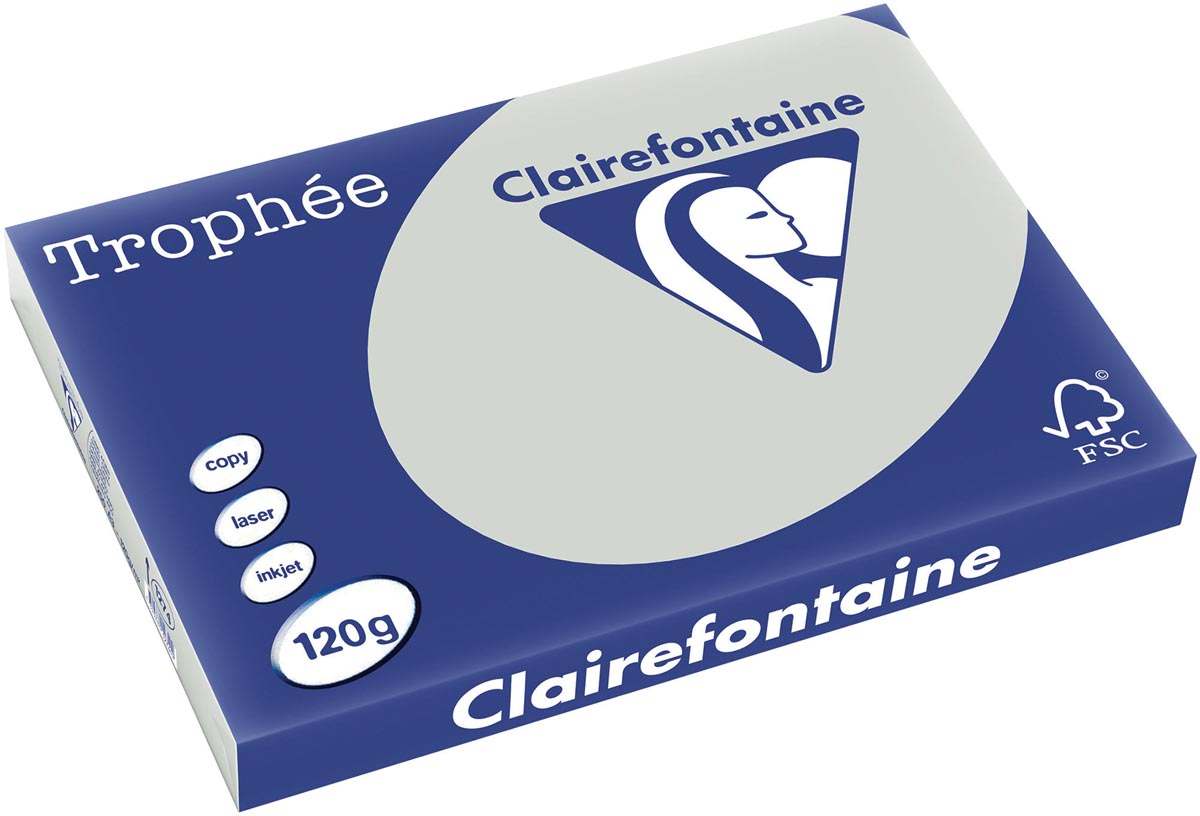 Clairefontaine Trophée Pastel A3, 120 g, 250 vel, lichtgrijs