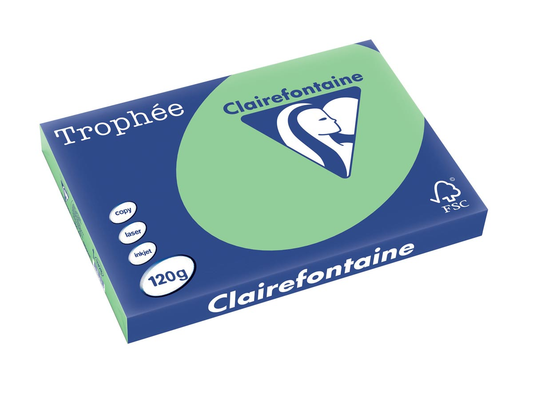 Clairefontaine Trophée Pastel A3, 120 g, 250 vel, natuurgroen