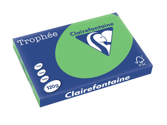 Clairefontaine Trophée Intens A3, 120 g, 250 vel, grasgroen