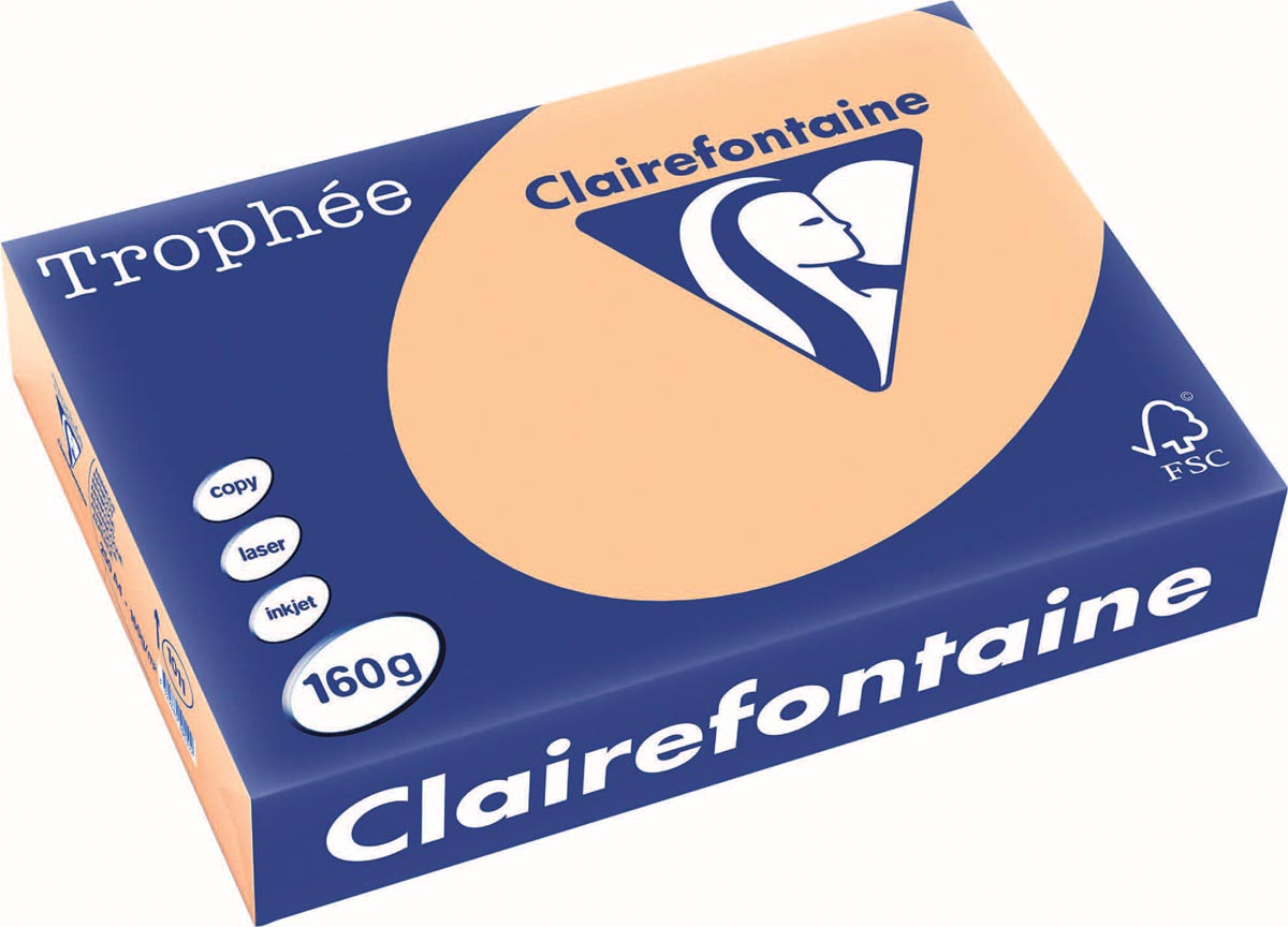Clairefontaine Trophée Pastel A4, 160 g, 250 vel, abrikoos