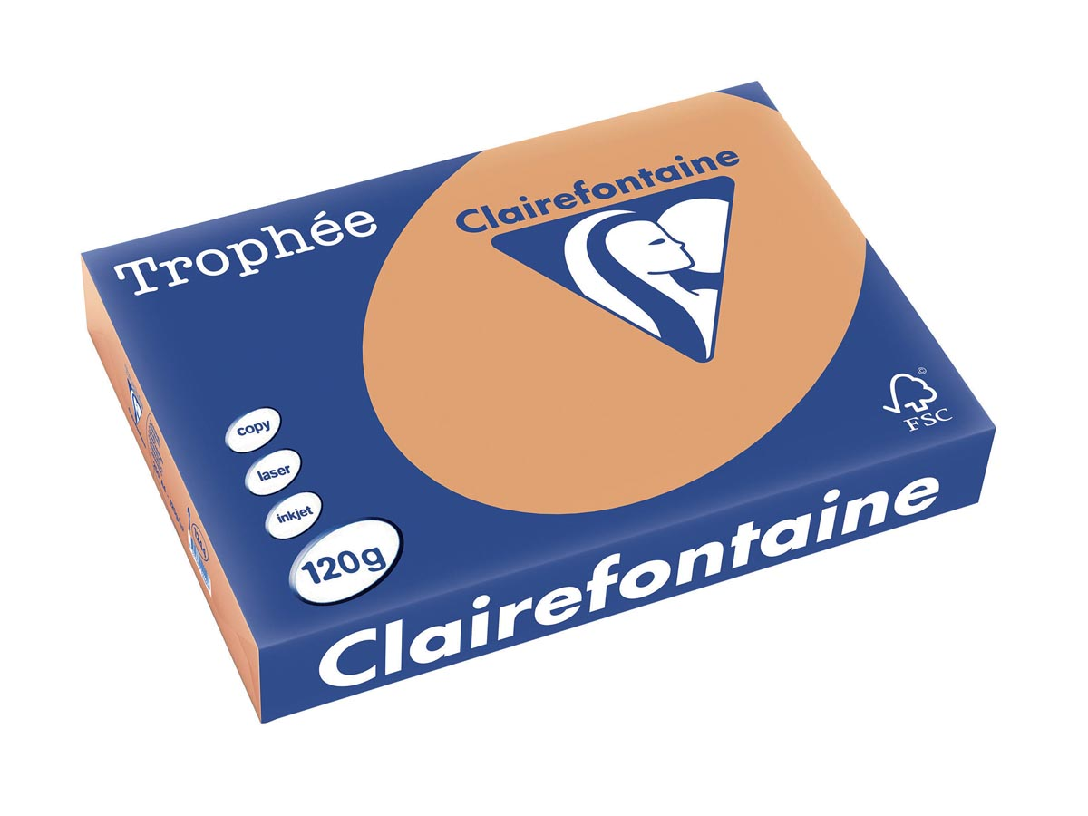 Clairefontaine Trophée Pastel A4, 120 g, 250 vel, mokkabruin