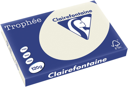 Clairefontaine Trophée Pastel A3, 120 g, 250 vel, parelgrijs