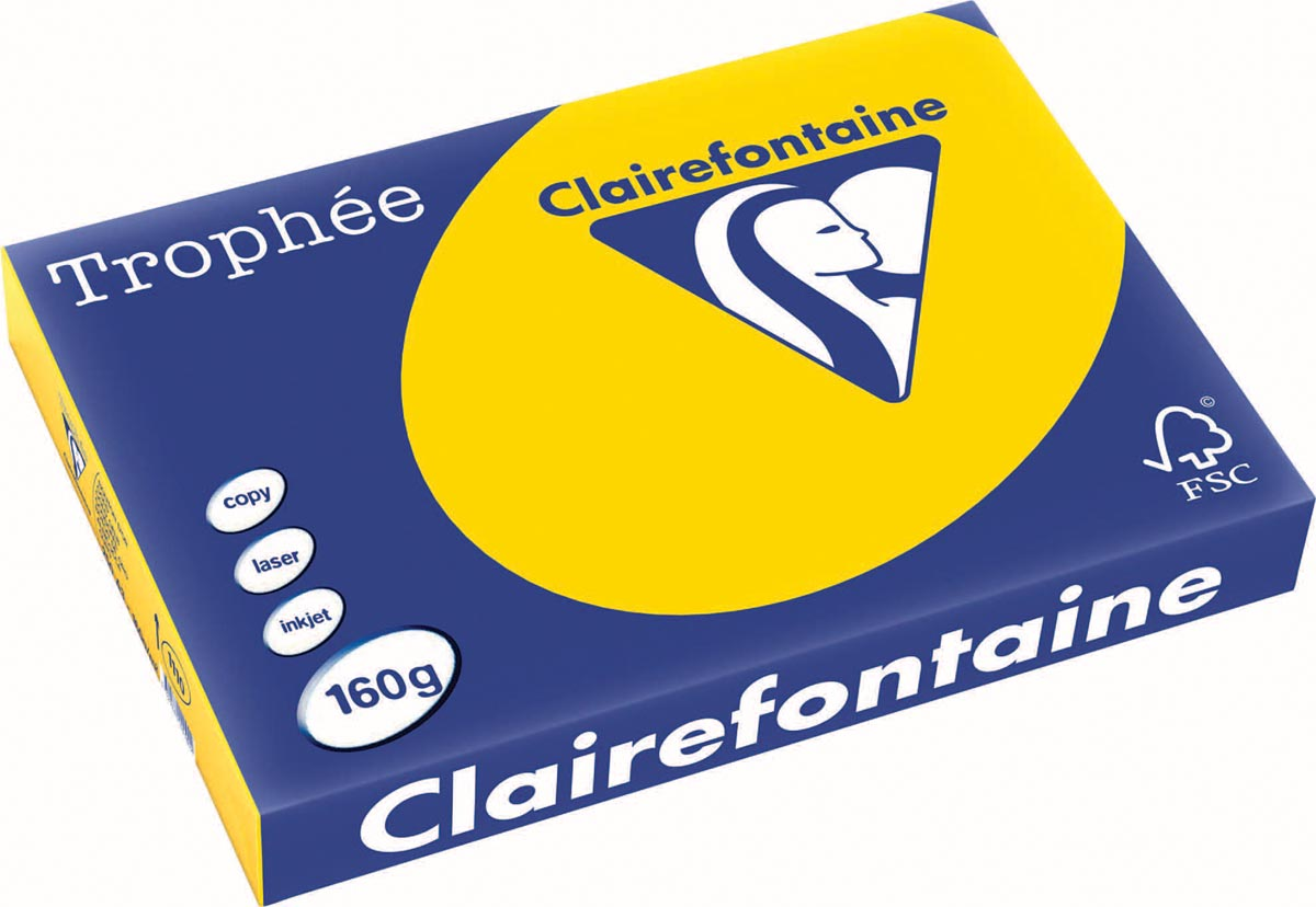 Clairefontaine Trophée Pastel A3, 160 g, 250 vel, goudgeel