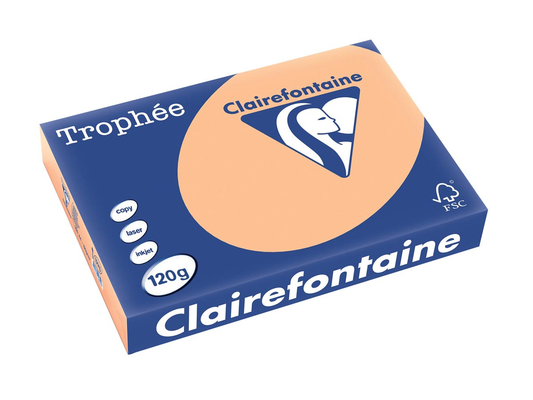 Clairefontaine Trophée Pastel A4, 120 g, 250 vel, abrikoos